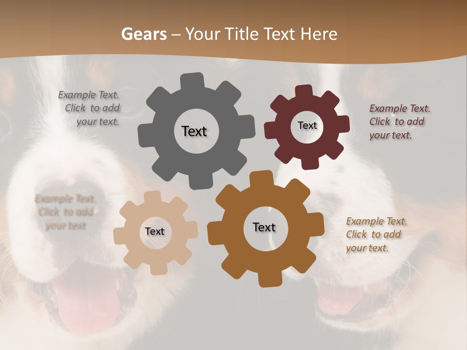 A Couple Of Dogs That Are Next To Each Other PowerPoint Template