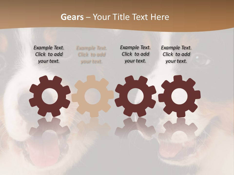 A Couple Of Dogs That Are Next To Each Other PowerPoint Template