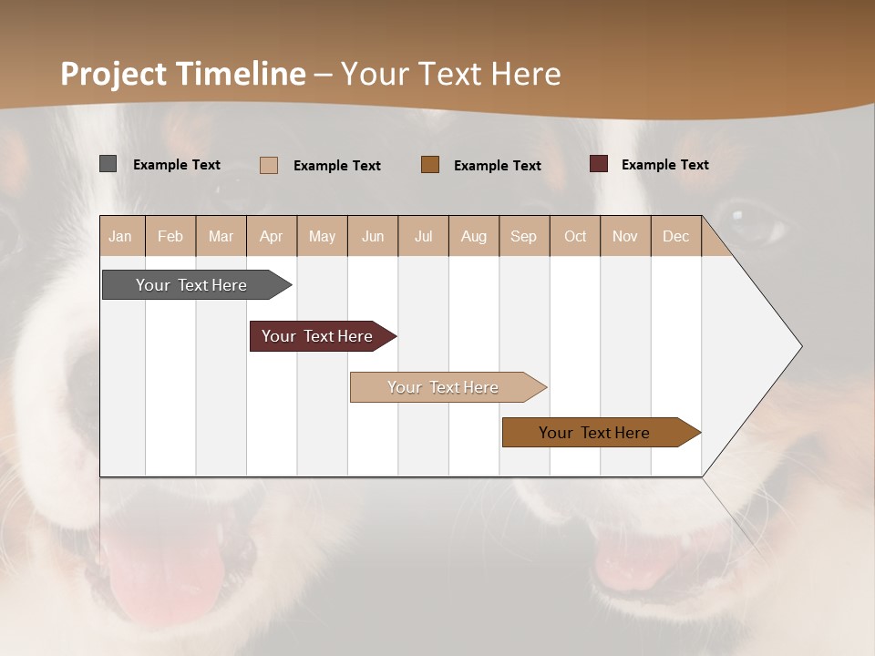 A Couple Of Dogs That Are Next To Each Other PowerPoint Template