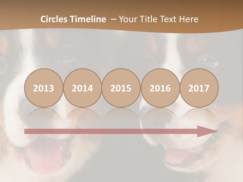 A Couple Of Dogs That Are Next To Each Other PowerPoint Template