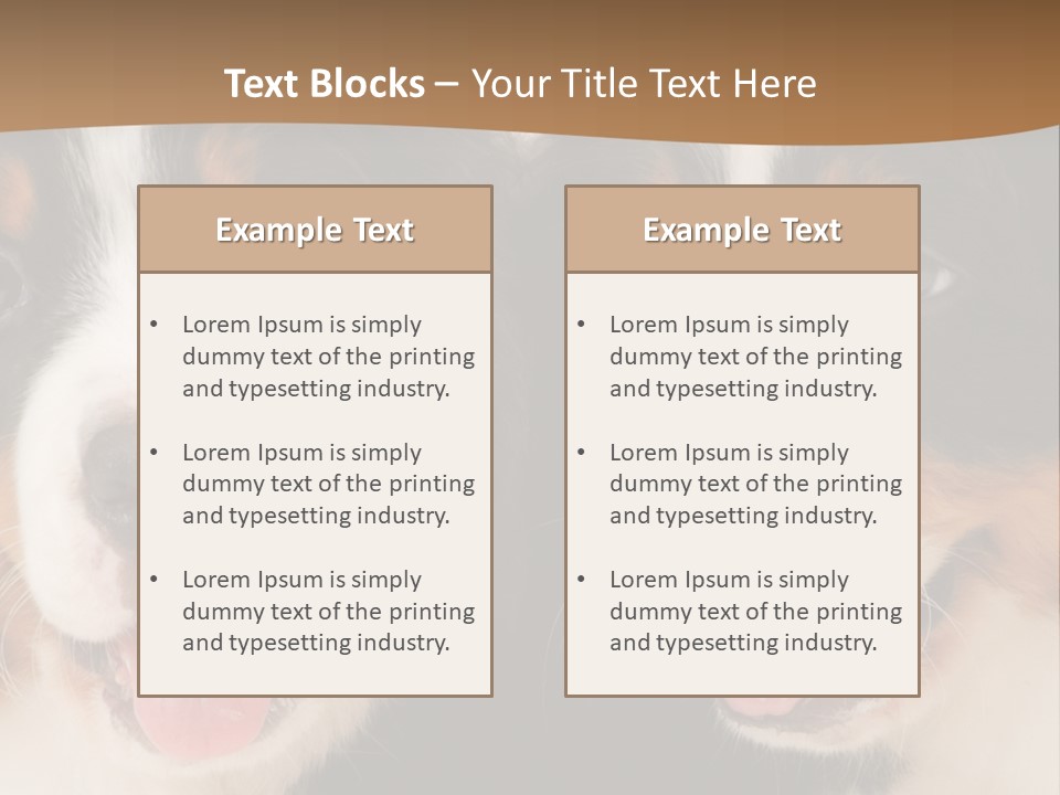 A Couple Of Dogs That Are Next To Each Other PowerPoint Template
