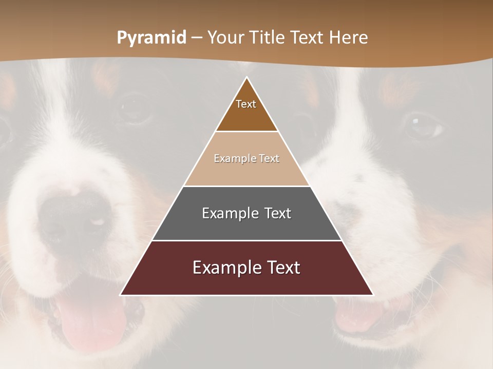 A Couple Of Dogs That Are Next To Each Other PowerPoint Template