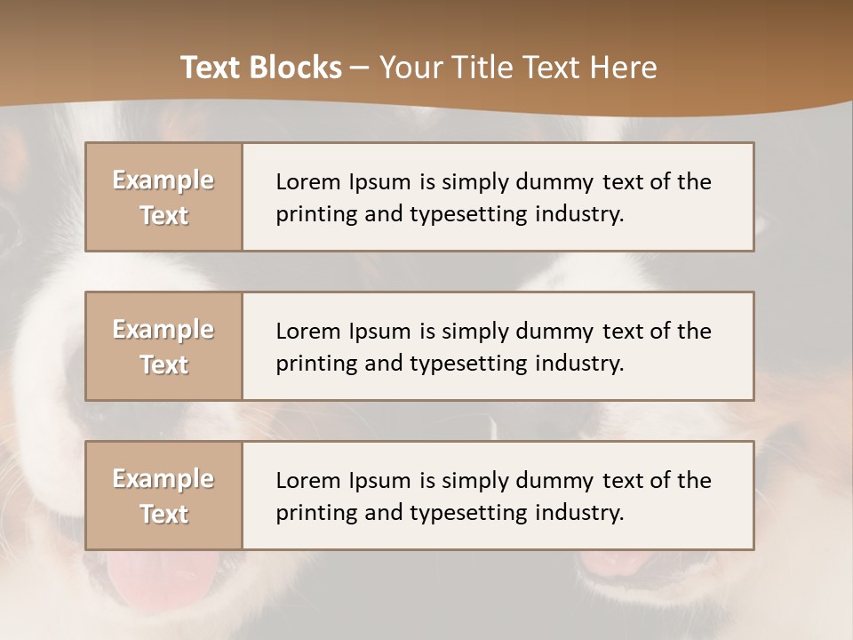 A Couple Of Dogs That Are Next To Each Other PowerPoint Template