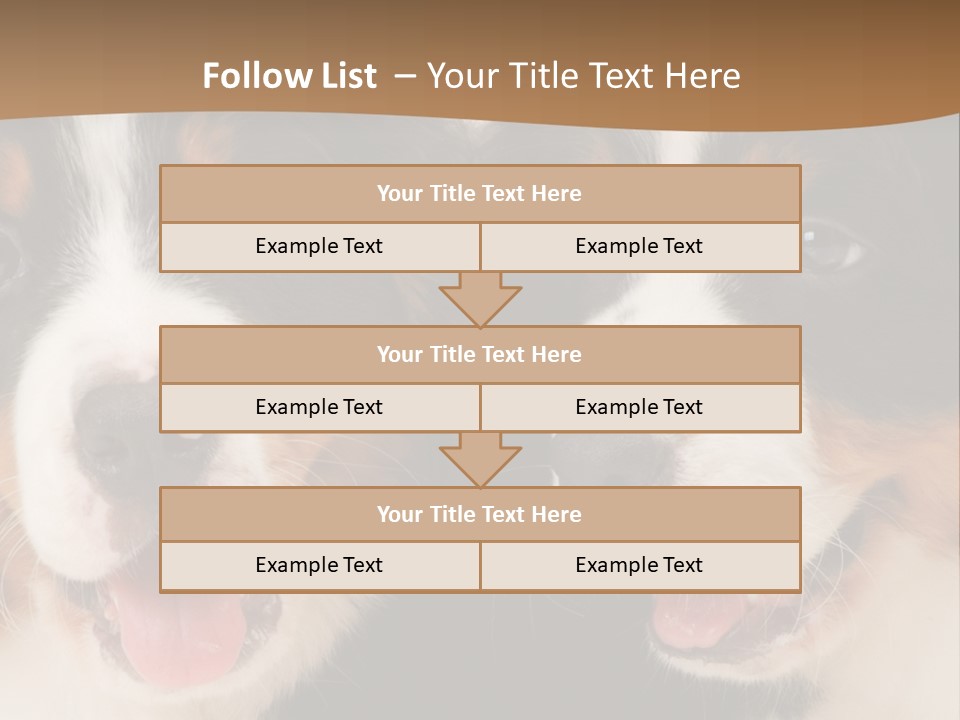 A Couple Of Dogs That Are Next To Each Other PowerPoint Template