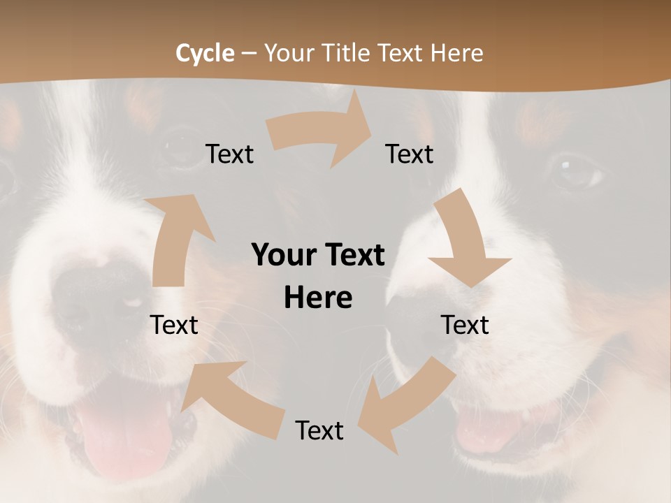 A Couple Of Dogs That Are Next To Each Other PowerPoint Template
