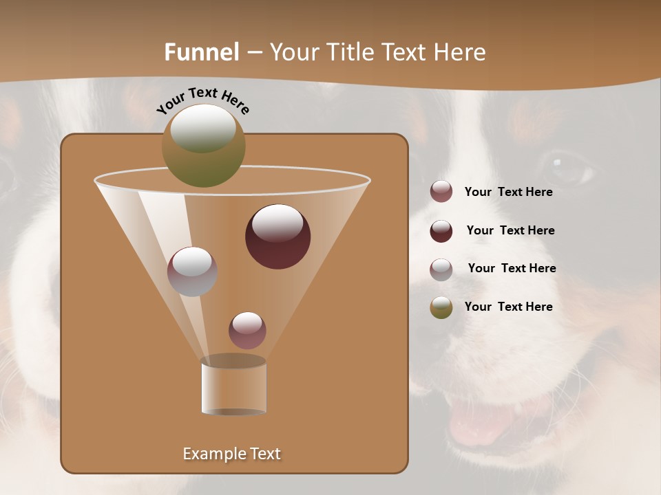 A Couple Of Dogs That Are Next To Each Other PowerPoint Template