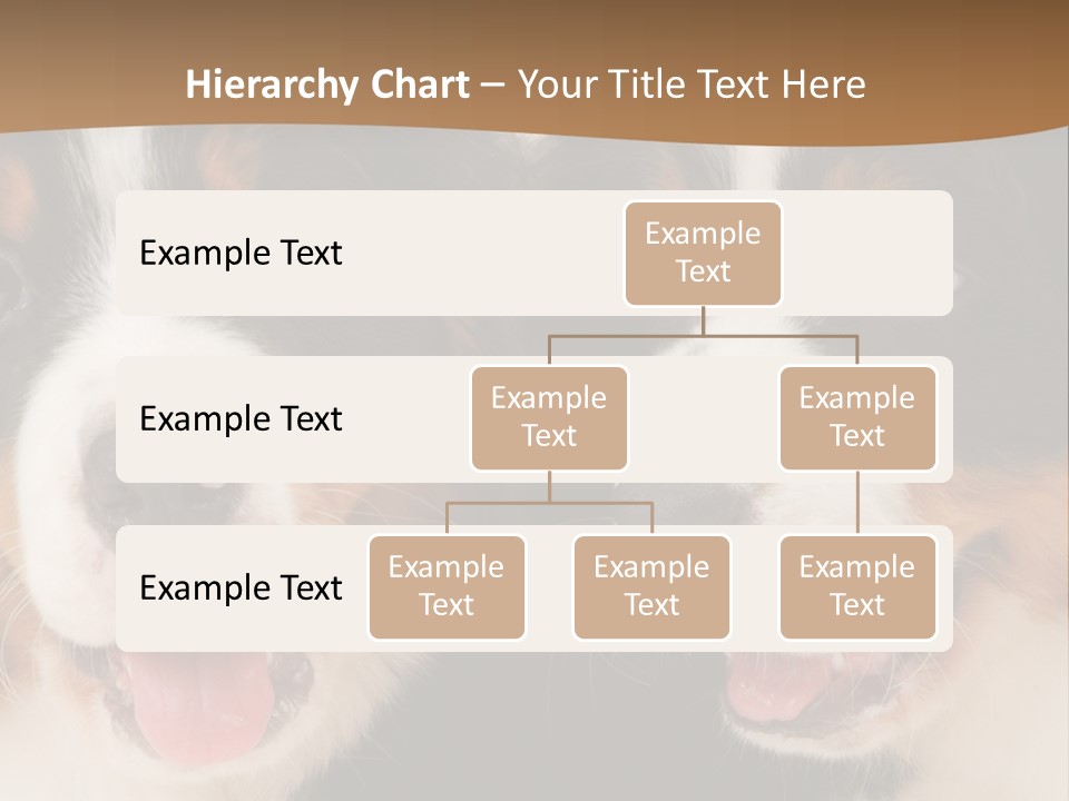 A Couple Of Dogs That Are Next To Each Other PowerPoint Template