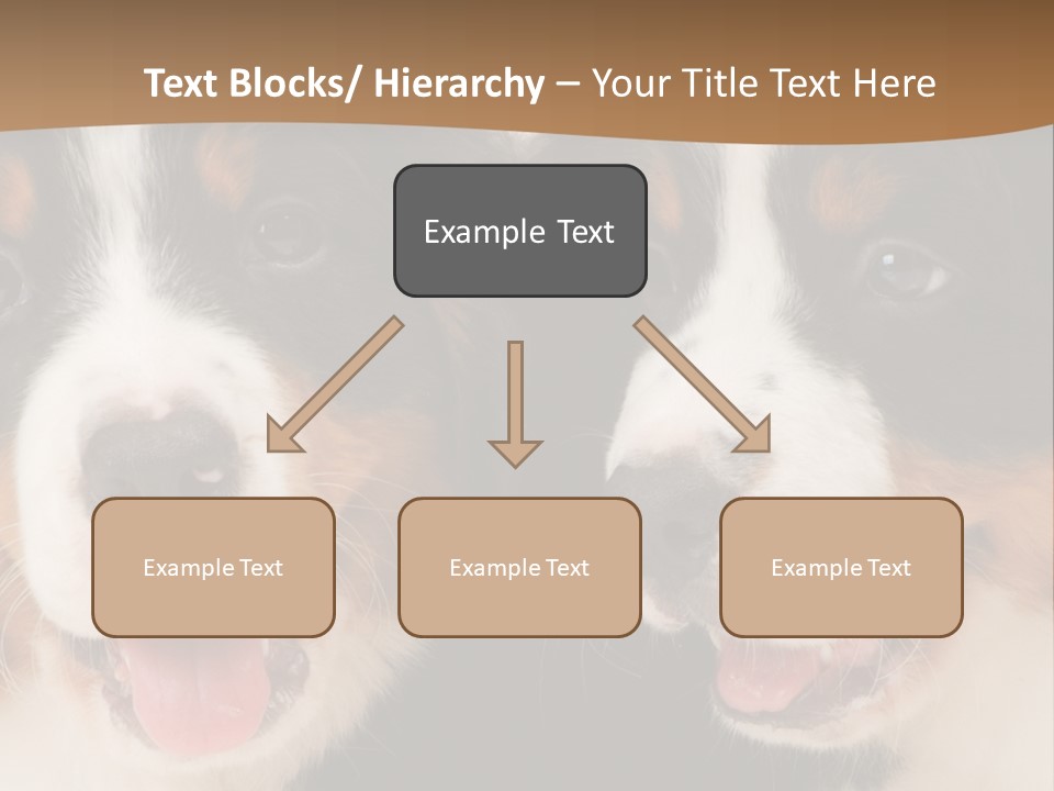 A Couple Of Dogs That Are Next To Each Other PowerPoint Template