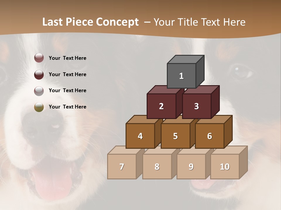 A Couple Of Dogs That Are Next To Each Other PowerPoint Template