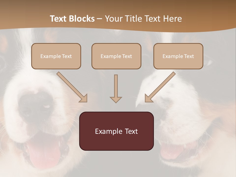 A Couple Of Dogs That Are Next To Each Other PowerPoint Template