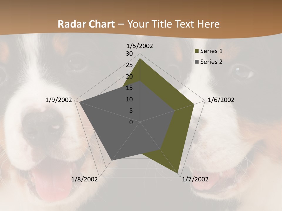 A Couple Of Dogs That Are Next To Each Other PowerPoint Template