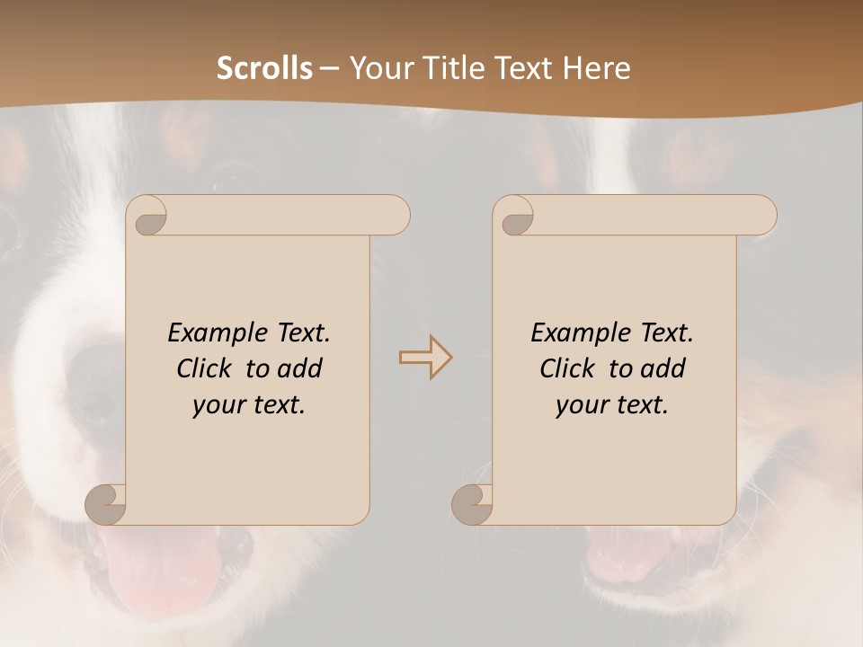 A Couple Of Dogs That Are Next To Each Other PowerPoint Template