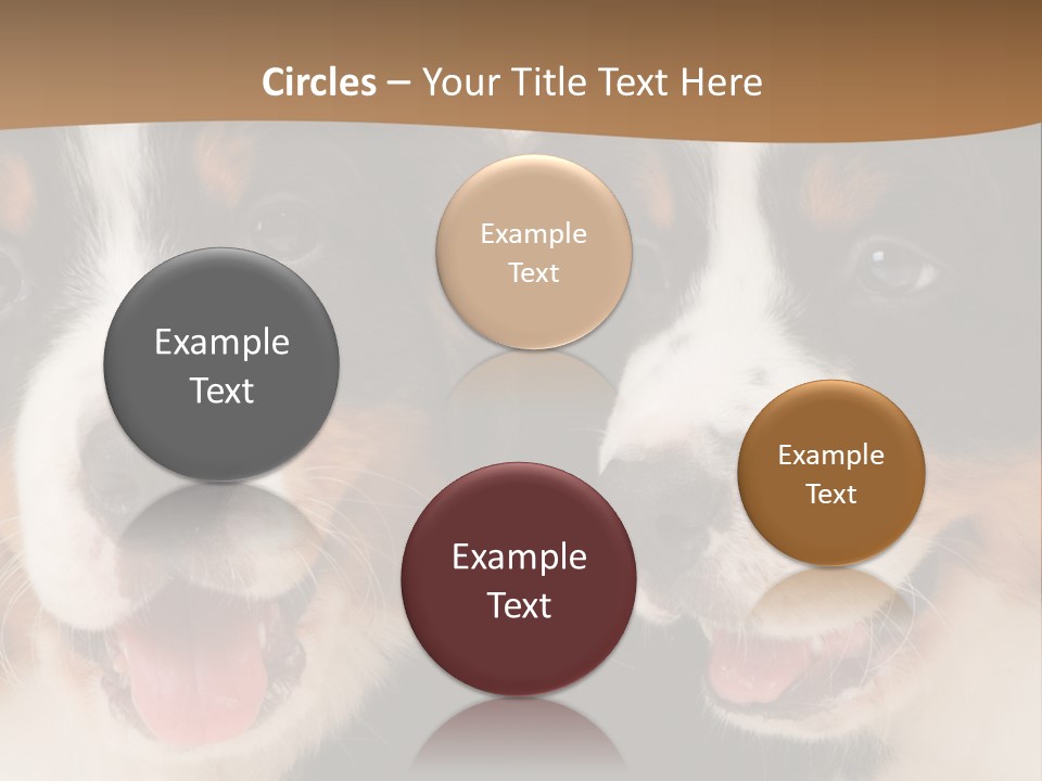 A Couple Of Dogs That Are Next To Each Other PowerPoint Template