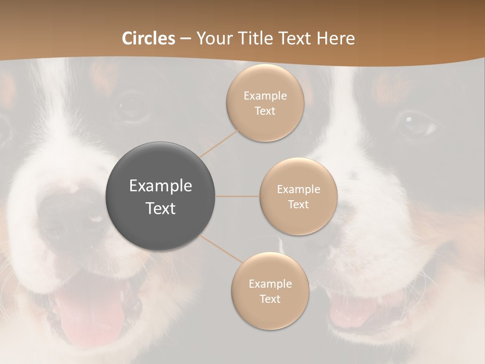 A Couple Of Dogs That Are Next To Each Other PowerPoint Template