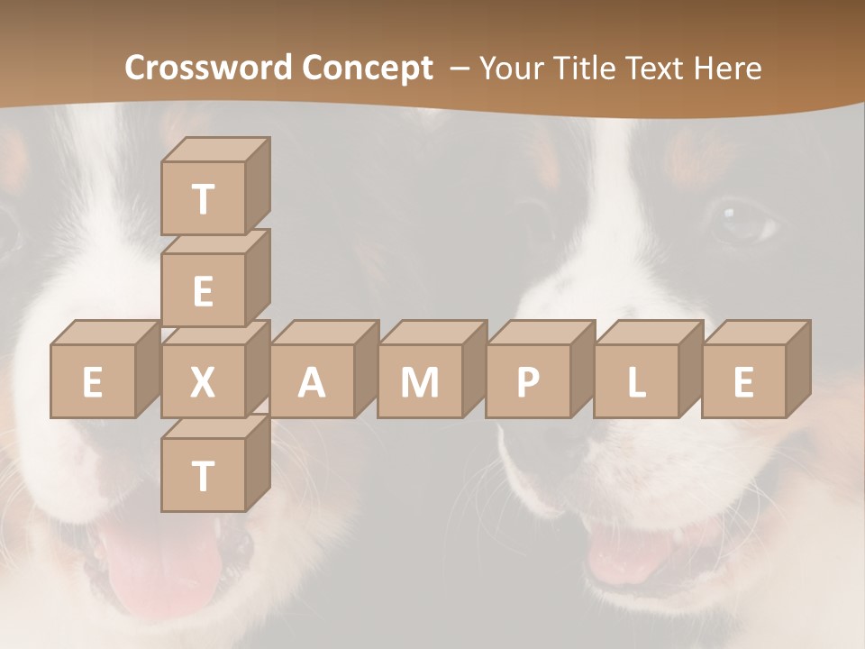 A Couple Of Dogs That Are Next To Each Other PowerPoint Template