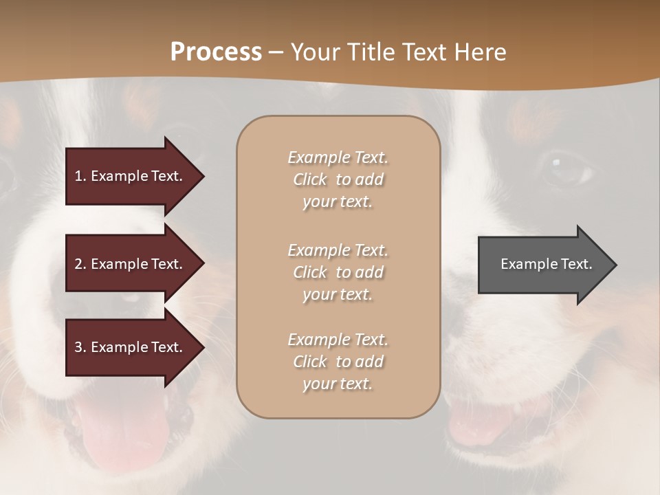 A Couple Of Dogs That Are Next To Each Other PowerPoint Template