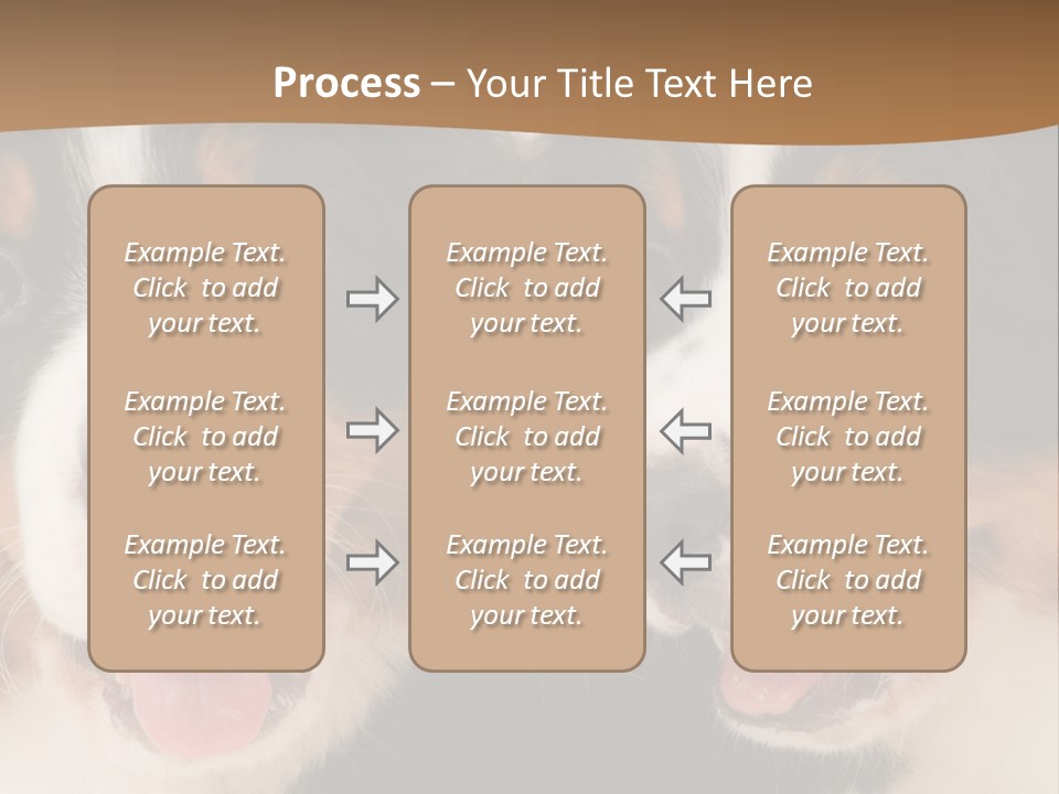 A Couple Of Dogs That Are Next To Each Other PowerPoint Template