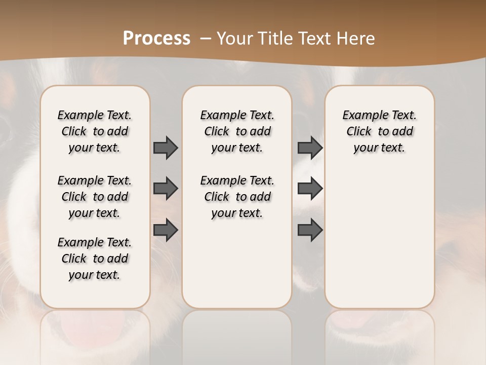 A Couple Of Dogs That Are Next To Each Other PowerPoint Template