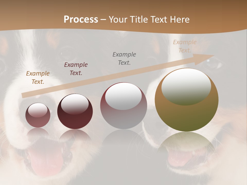 A Couple Of Dogs That Are Next To Each Other PowerPoint Template