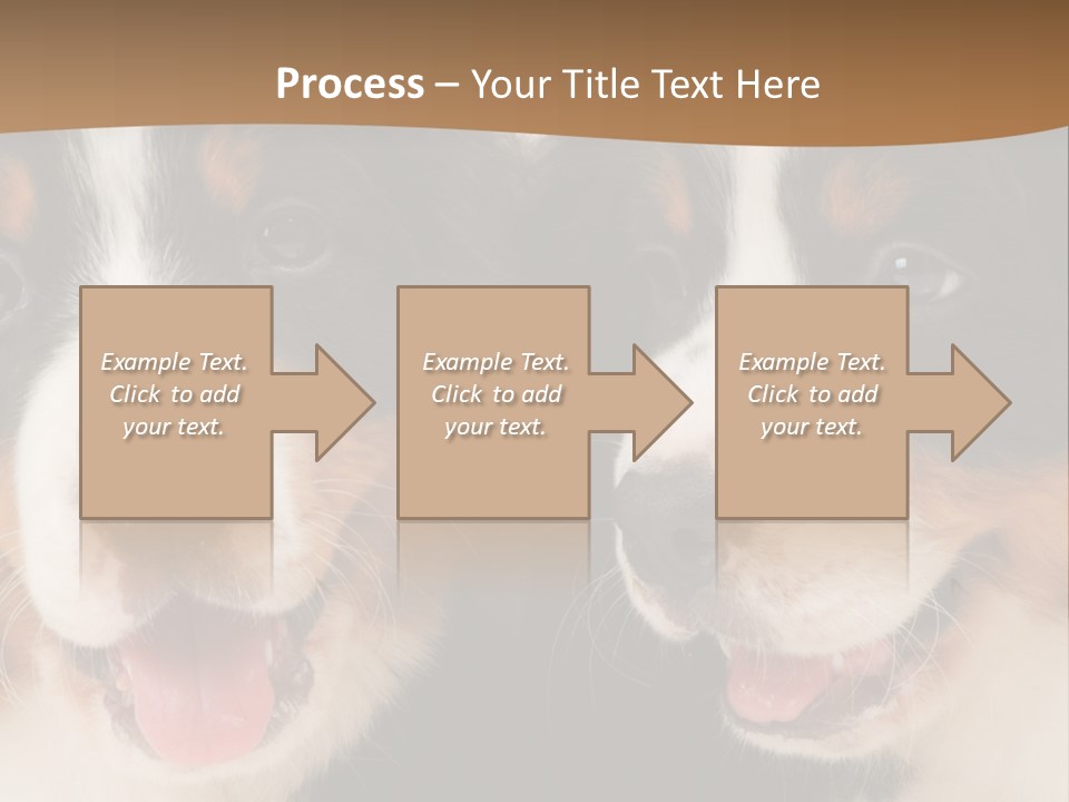 A Couple Of Dogs That Are Next To Each Other PowerPoint Template