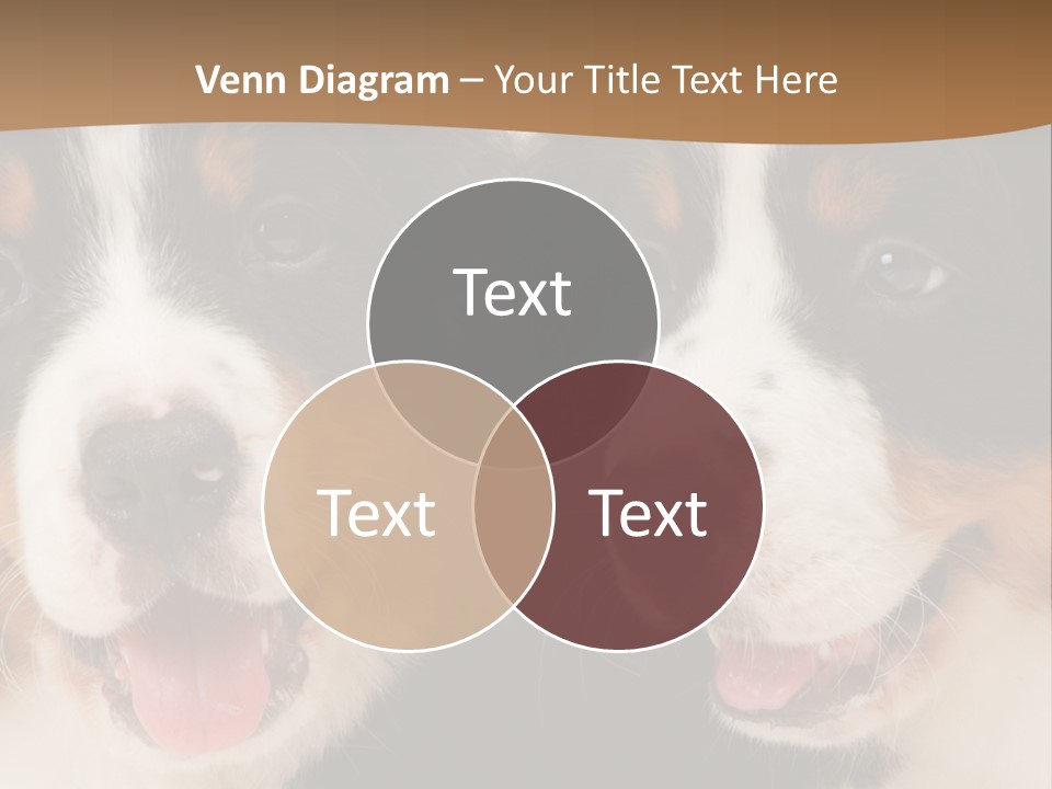 A Couple Of Dogs That Are Next To Each Other PowerPoint Template