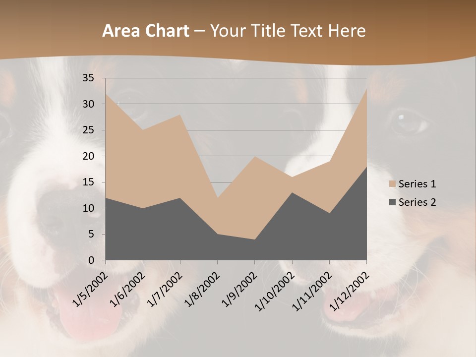 A Couple Of Dogs That Are Next To Each Other PowerPoint Template
