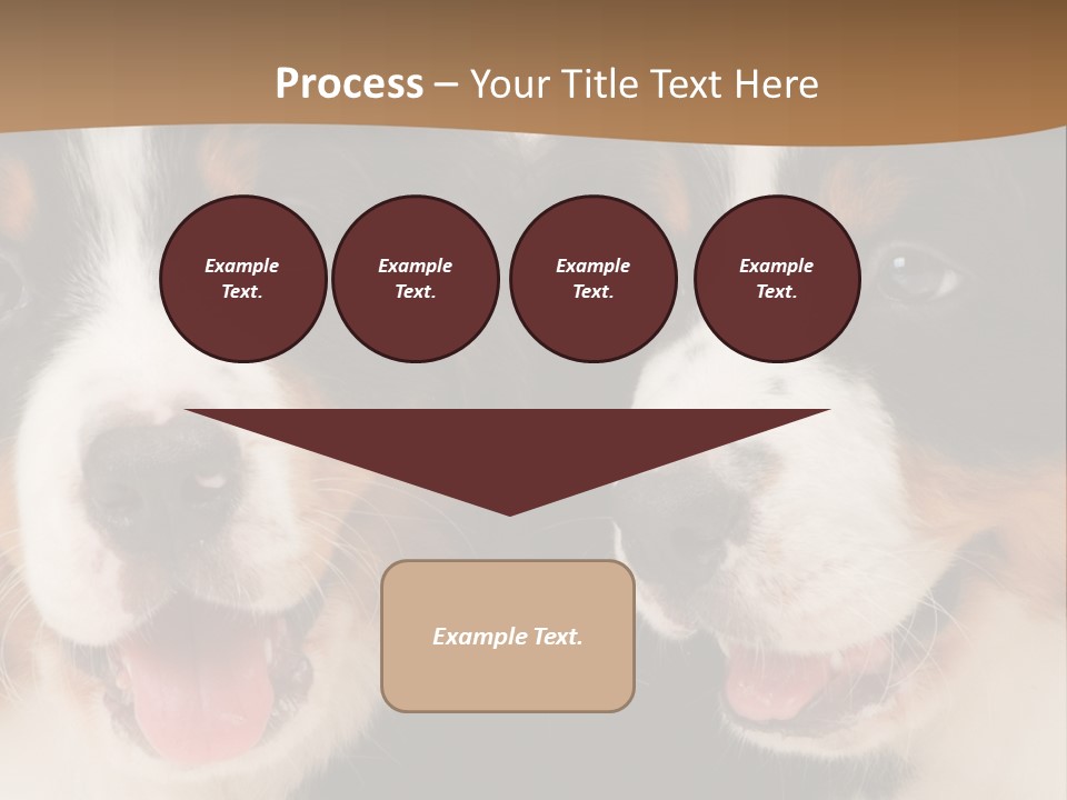 A Couple Of Dogs That Are Next To Each Other PowerPoint Template