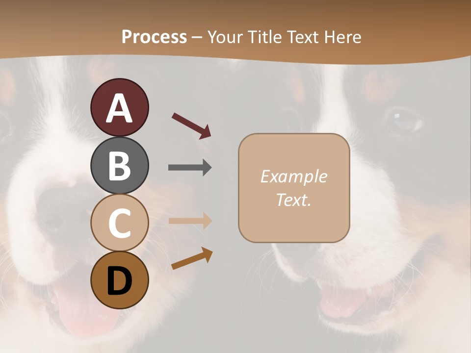 A Couple Of Dogs That Are Next To Each Other PowerPoint Template
