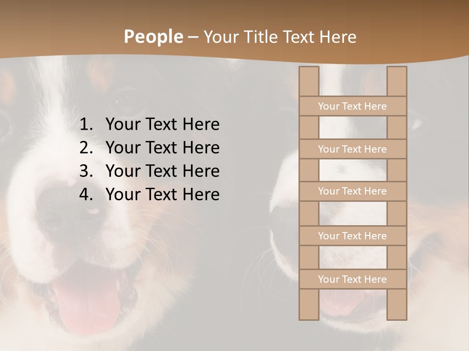 A Couple Of Dogs That Are Next To Each Other PowerPoint Template