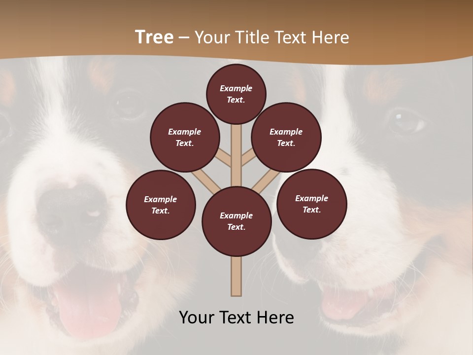 A Couple Of Dogs That Are Next To Each Other PowerPoint Template