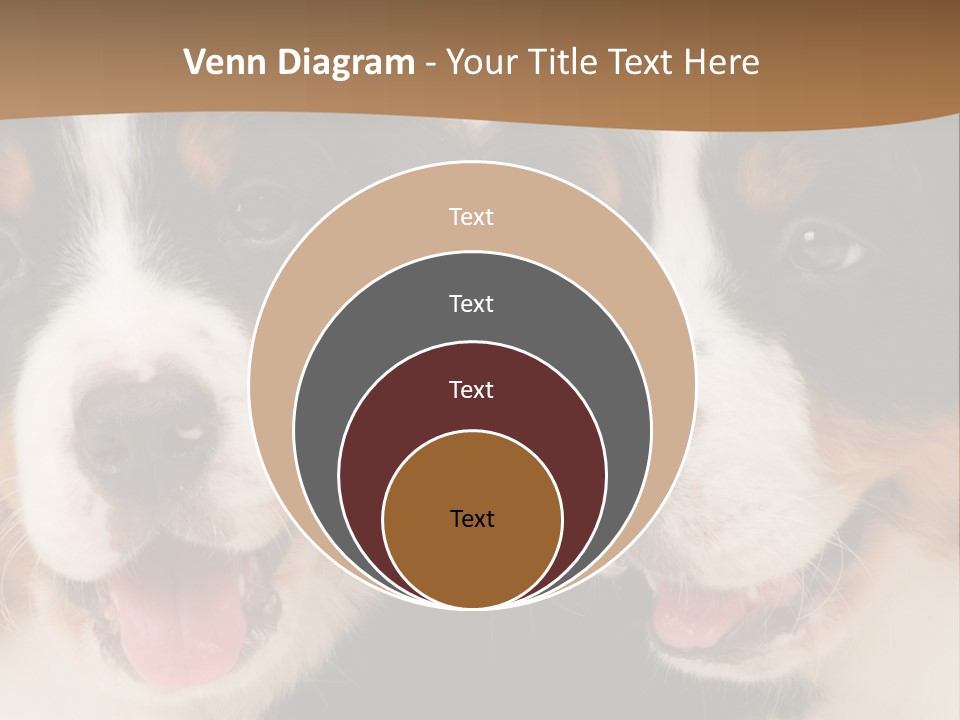 A Couple Of Dogs That Are Next To Each Other PowerPoint Template