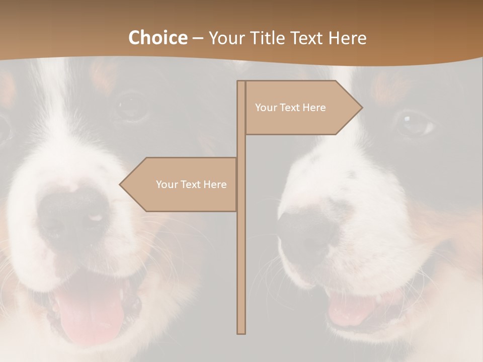 A Couple Of Dogs That Are Next To Each Other PowerPoint Template