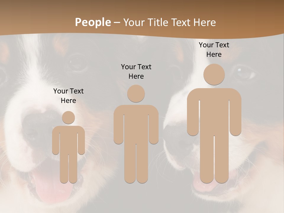 A Couple Of Dogs That Are Next To Each Other PowerPoint Template