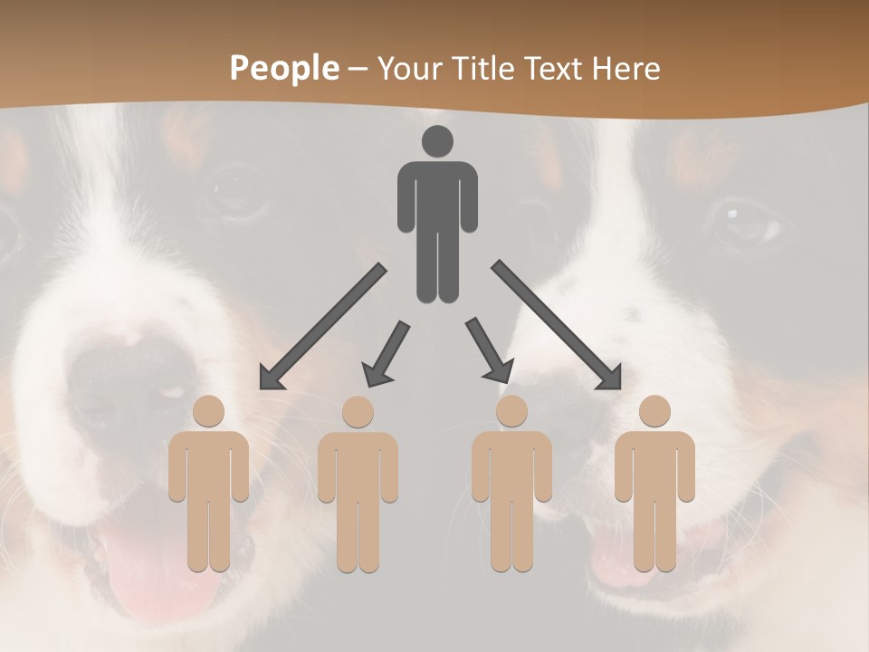 A Couple Of Dogs That Are Next To Each Other PowerPoint Template
