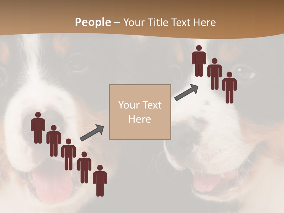 A Couple Of Dogs That Are Next To Each Other PowerPoint Template