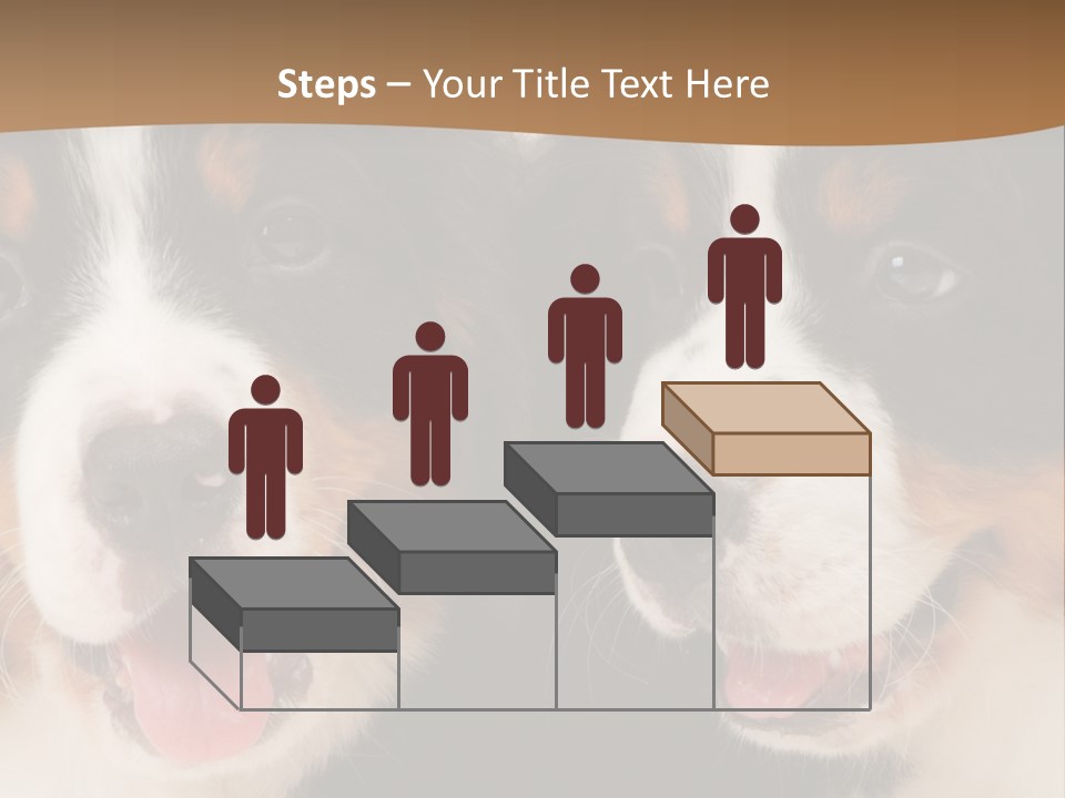 A Couple Of Dogs That Are Next To Each Other PowerPoint Template