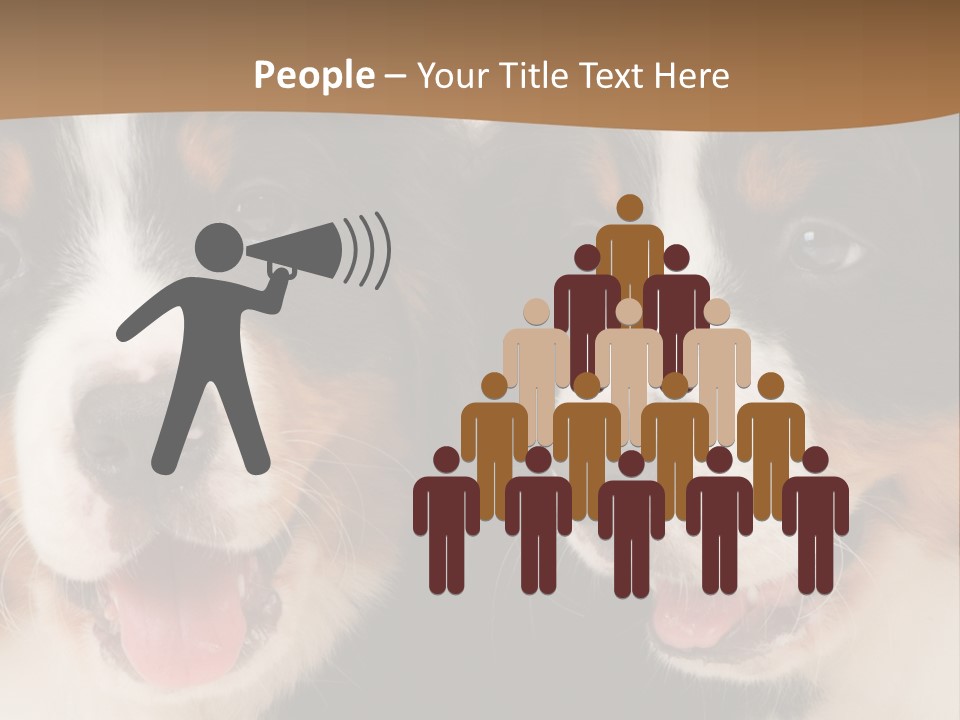 A Couple Of Dogs That Are Next To Each Other PowerPoint Template