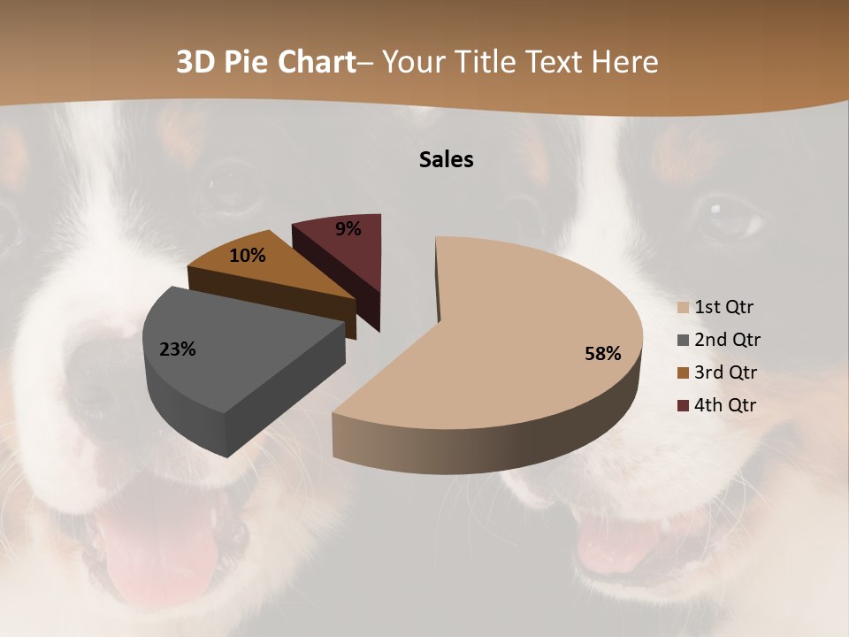 A Couple Of Dogs That Are Next To Each Other PowerPoint Template