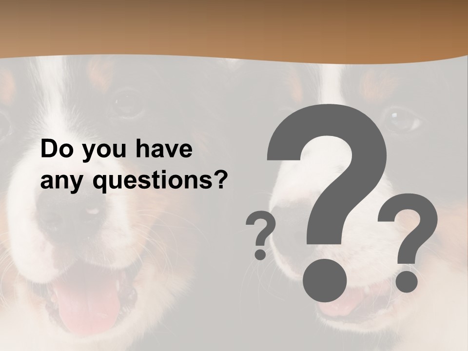 A Couple Of Dogs That Are Next To Each Other PowerPoint Template