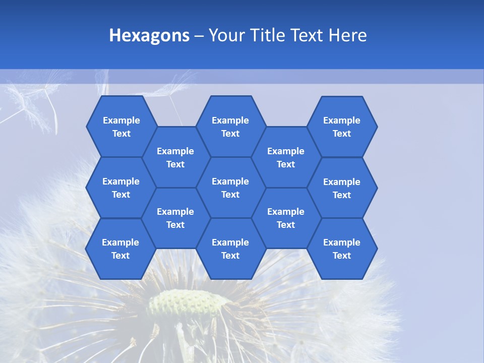 A Dandelion With A Blue Sky In The Background PowerPoint Template