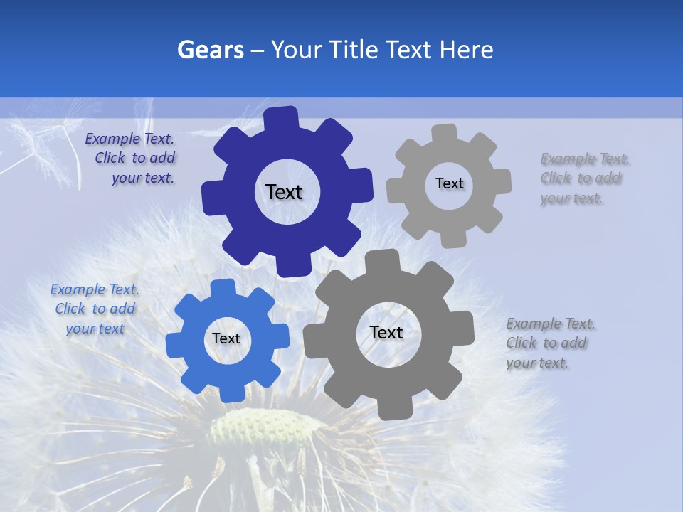 A Dandelion With A Blue Sky In The Background PowerPoint Template