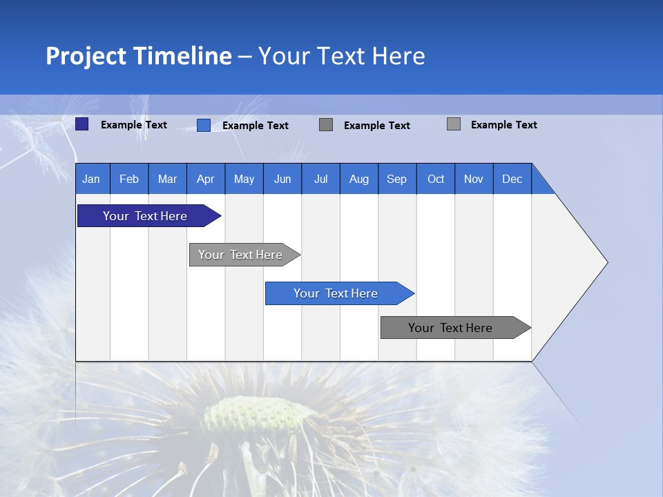 A Dandelion With A Blue Sky In The Background PowerPoint Template