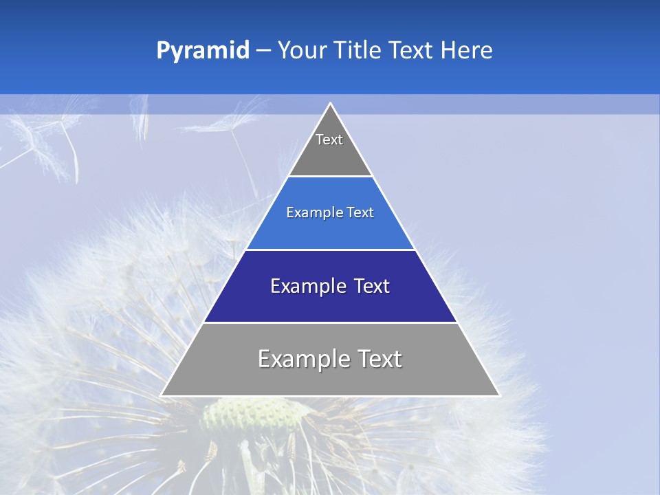 A Dandelion With A Blue Sky In The Background PowerPoint Template