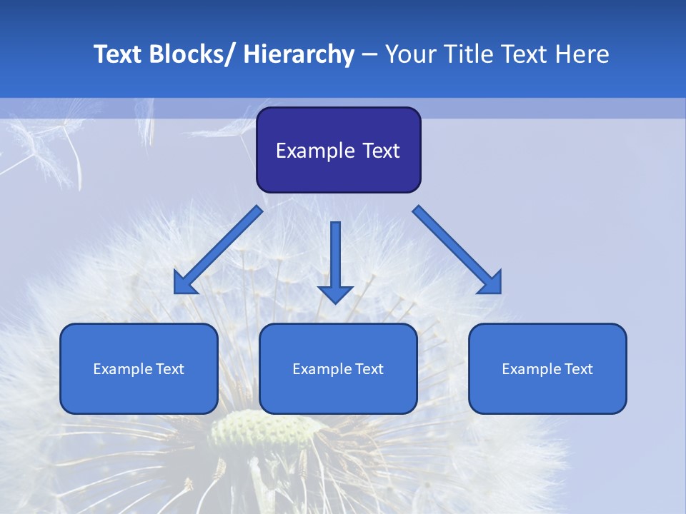 A Dandelion With A Blue Sky In The Background PowerPoint Template