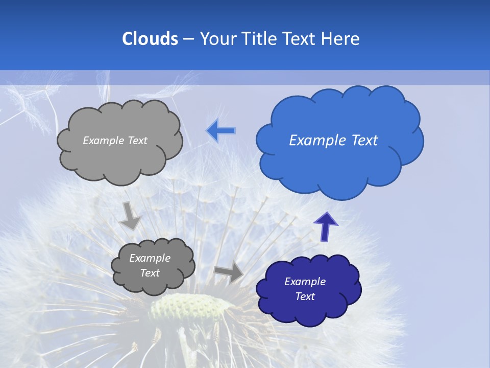 A Dandelion With A Blue Sky In The Background PowerPoint Template
