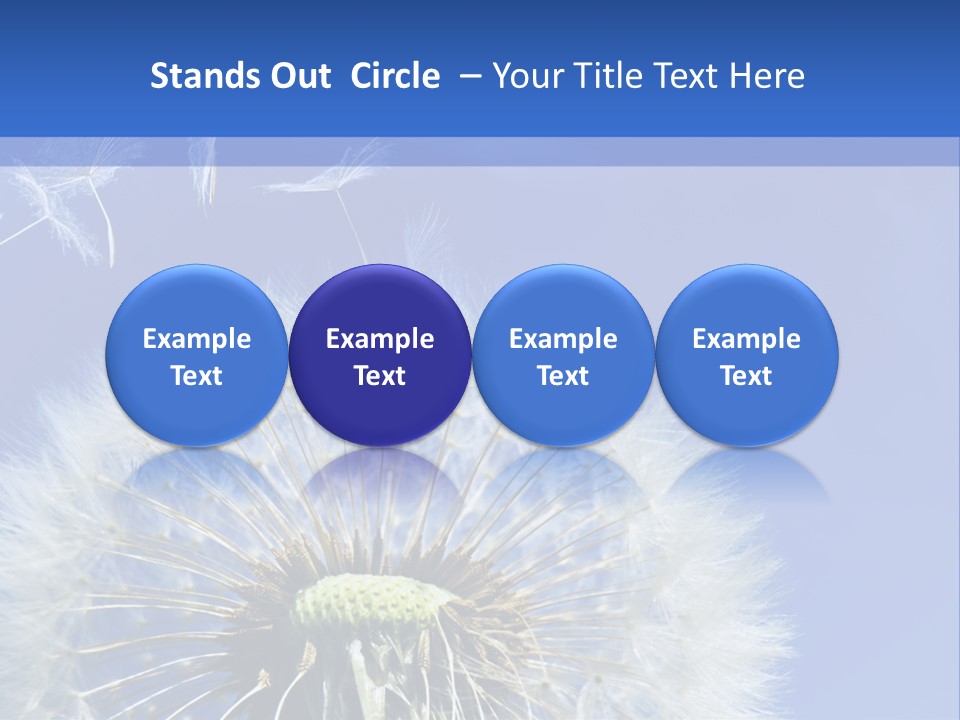 A Dandelion With A Blue Sky In The Background PowerPoint Template