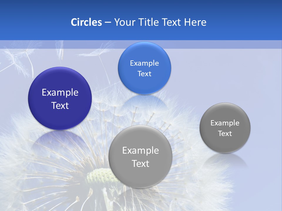 A Dandelion With A Blue Sky In The Background PowerPoint Template