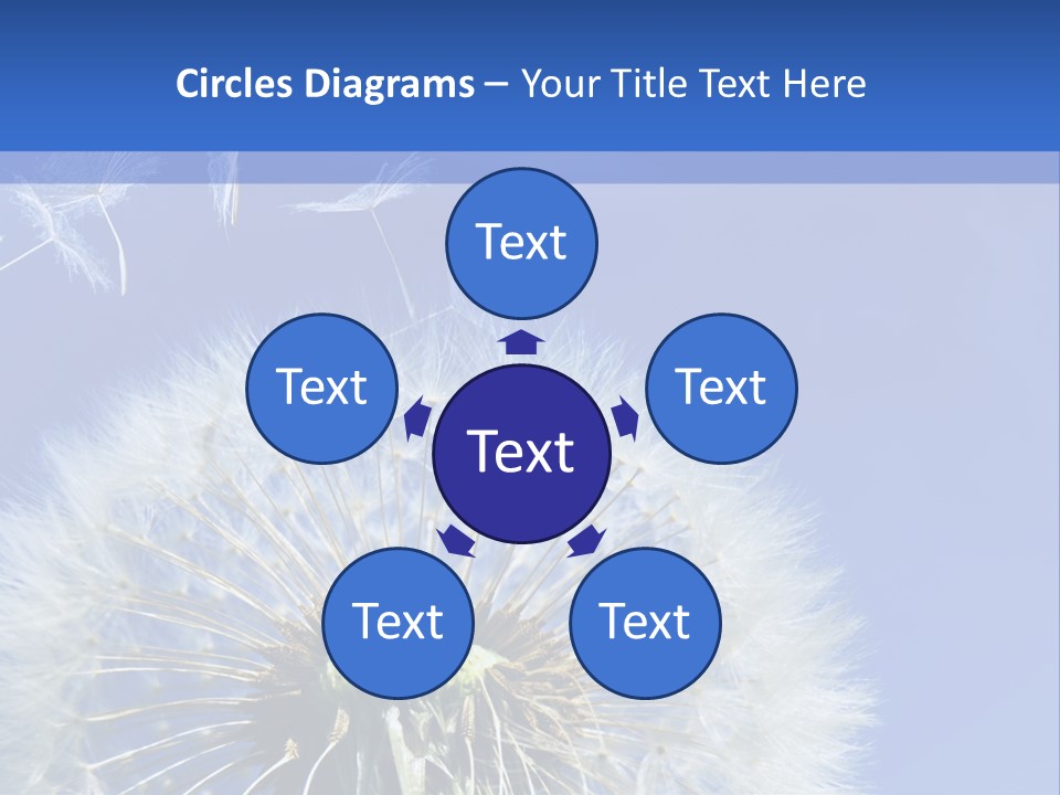 A Dandelion With A Blue Sky In The Background PowerPoint Template