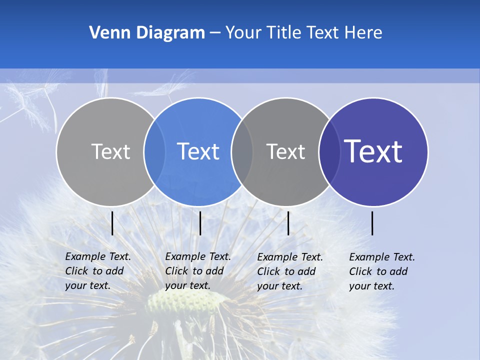 A Dandelion With A Blue Sky In The Background PowerPoint Template