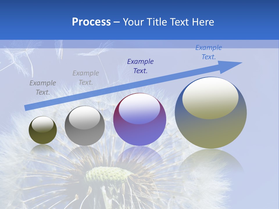 A Dandelion With A Blue Sky In The Background PowerPoint Template